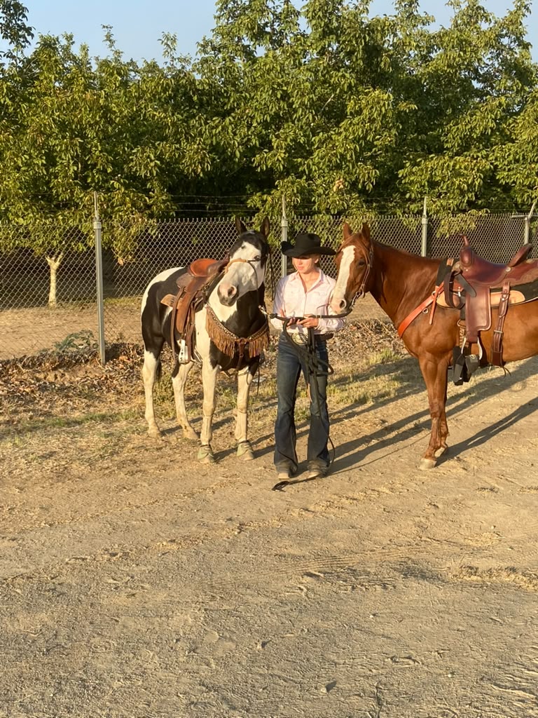 Olivia in a black cowboy hat holding two saddled horses at golden hour